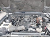 FORD RANGER EDGE/FX4 LEVEL II/FX4 OFF-ROAD/XLT 1FTZR45E95P****** fotografie