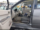 FORD ESCAPE XLS 1FMCU0C71AK****** fotografie