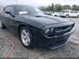 DODGE CHALLENGER SXT photo