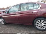 HONDA ACCORD EX-L V-6 photo