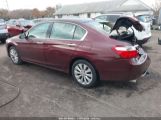 HONDA ACCORD EX-L V-6 photo