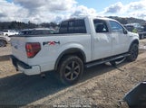 FORD F-150 FX4 1FTFW1ET6BF****** снимка