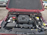 JEEP WRANGLER 80TH ANNIVERSARY 4X4 1C4GJXAN3MW****** photo
