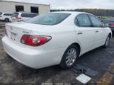 LEXUS ES 300 photo