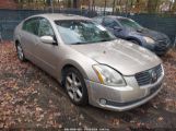 NISSAN MAXIMA 3.5 SE photo