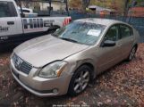 NISSAN MAXIMA 3.5 SE 1N4BA41E65C****** fotografie
