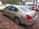 NISSAN MAXIMA 3.5 SE photo