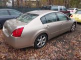 NISSAN MAXIMA 3.5 SE photo