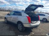 CADILLAC SRX LUXURY COLLECTION photo