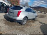 CADILLAC SRX LUXURY COLLECTION photo