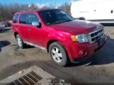 FORD ESCAPE XLT photo