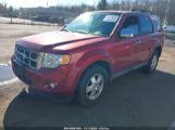 FORD ESCAPE XLT photo