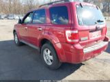 FORD ESCAPE XLT photo