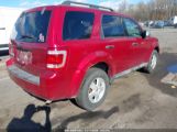 FORD ESCAPE XLT photo