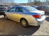 TOYOTA COROLLA LE photo