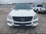 MERCEDES-BENZ ML 350 4MATIC photo