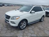 MERCEDES-BENZ ML 350 4MATIC photo