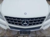 MERCEDES-BENZ ML 350 4MATIC photo