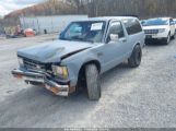 CHEVROLET BLAZER S10 photo