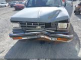 CHEVROLET BLAZER S10 photo