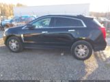 CADILLAC SRX LUXURY COLLECTION снимка