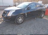 CADILLAC SRX LUXURY COLLECTION снимка