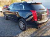 CADILLAC SRX LUXURY COLLECTION снимка