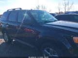 FORD ESCAPE XLT снимка