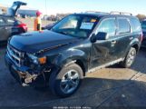 FORD ESCAPE XLT снимка