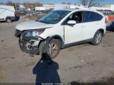 HONDA CR-V EX photo