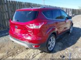 FORD ESCAPE TITANIUM снимка