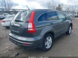 HONDA CR-V EX-L снимка