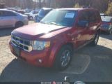 FORD ESCAPE XLT снимка