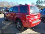 FORD ESCAPE XLT снимка