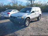 FORD ESCAPE XLT 1FMYU03ZX7K****** снимка