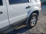 FORD ESCAPE XLT 1FMYU03ZX7K****** снимка