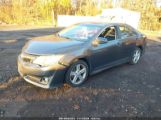 TOYOTA CAMRY SE photo