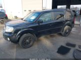 HONDA PILOT EX photo