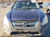 HONDA CR-V LX SHSRD78554U****** photo