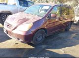 HONDA ODYSSEY EX photo