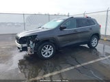 JEEP CHEROKEE LATITUDE 1C4PJMCS1EW310906 снимка