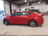 HYUNDAI ELANTRA SE photo