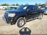 TOYOTA TACOMA BASE V6 photo