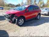 TOYOTA RAV4 XLE photo