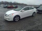 HYUNDAI SONATA LIMITED photo