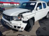 HONDA RIDGELINE RTL 5FPYK165X9B****** fotografie