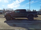 FORD F-150 SVT RAPTOR 1FTFW1R67DF****** снимка
