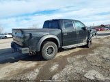 FORD F-150 SVT RAPTOR 1FTFW1R67DF****** снимка