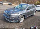 JEEP CHEROKEE LIMITED 1C4PJLDB1GW229559 снимка