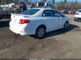 TOYOTA COROLLA S photo